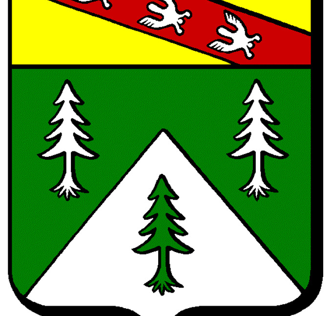 Historique du Comité Départemental FSCF des Vosges